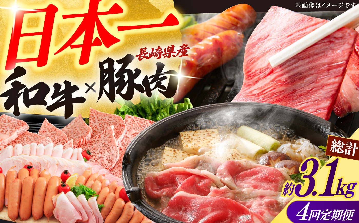 【4回定期便】長崎和牛・大村産豚肉コース 総量3.1kg / 牛肉 モモ もも すき焼き すきやき しゃぶしゃぶ 焼肉 焼き肉 豚肉 豚ロース ロース ろーす 豚モモ モモ もも 豚バラ バラ ばら ロースハム ハム はむ ウインナー ういんなー ソーセージ そーせーじ フランク 小分け 肉定期便 / 大村市 / おおむら夢ファームシュシュ[ACAA070]