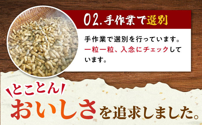 殻付き 落花生 合計約600g（300g×2袋） ピーナツ おつまみ 大村市 浦川豆店 [ACZR018]
