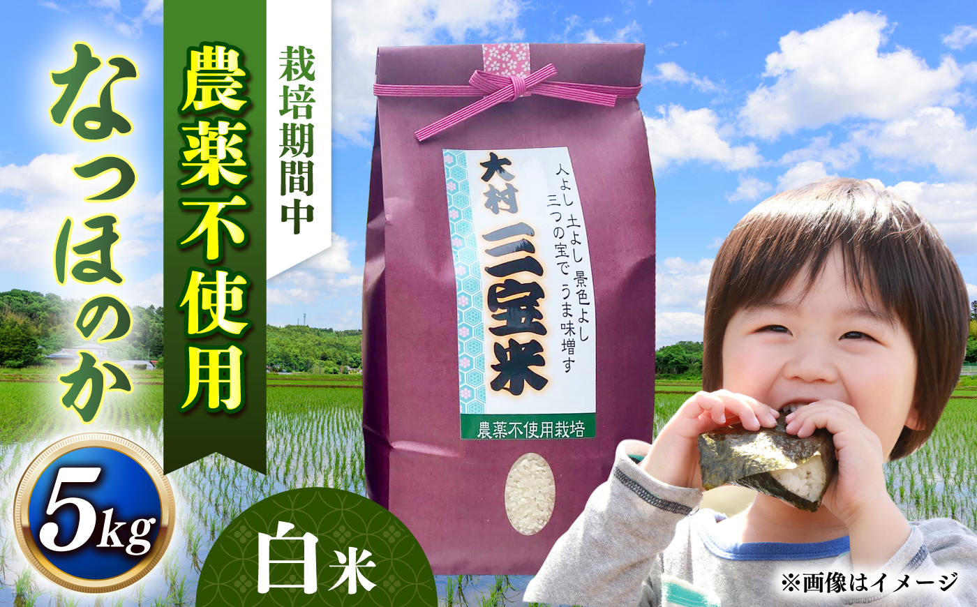 【栽培期間中農薬不使用】R8年度米 白米 なつほのか 5kg 大村市 たぬき池自然農園/ 米 白米 5kg [ACCJ003]