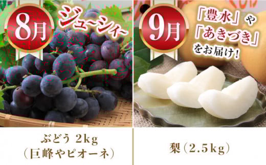 【5回定期便】厳選フルーツ＆旬のお米定期便（ いちご ぶどう 梨 お米 みかん ）/ 果物定期便 果物 お米 米 フルーツ定期便 フルーツ 定期 / 大村市 / おおむら夢ファームシュシュ[ACAA082]