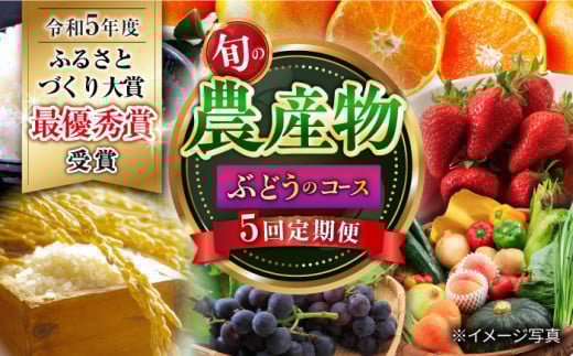 【5回定期便】旬の農産物 ぶどうコース / 野菜 やさい 果物 くだもの フルーツ ふるーつ 産地直送 ぶどう 葡萄 ブドウ フルーツ定期便 / 大村市 / おおむら夢ファームシュシュ[ACAA120]