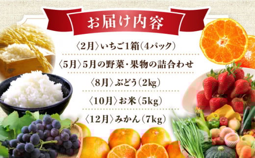 【5回定期便】旬の農産物 ぶどうコース / 野菜 やさい 果物 くだもの フルーツ ふるーつ 産地直送 ぶどう 葡萄 ブドウ フルーツ定期便 / 大村市 / おおむら夢ファームシュシュ[ACAA120]