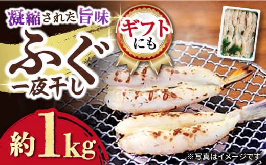 ふぐ 一夜干し 約1kg / ふぐ フグ 一夜干し 河豚 干物 ひもの / 大村市 / 株式会社ナガスイ[ACYQ003]