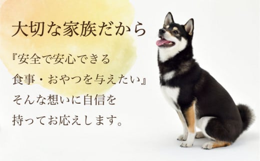ワンちゃんのおやつ 詰め合わせ おためしセット  ( 鳥ささみ シリーズ ) 計4袋  / 犬 ドッグフード おやつ 詰合せ / 大村市 / 株式会社サポート[ACAM001]