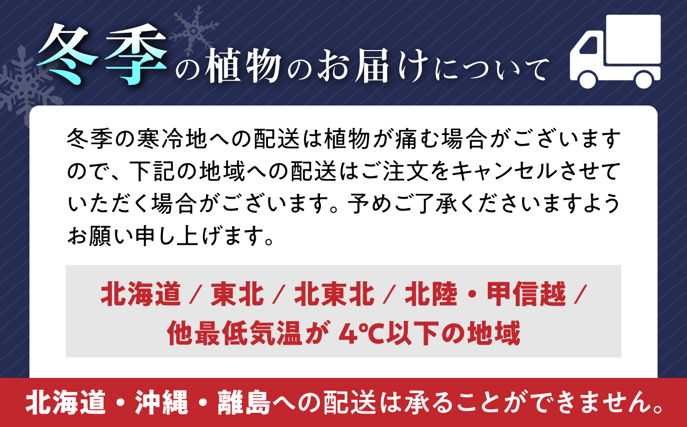 ガジュマル 3号 ボール型陶器鉢（黒）観葉植物 大村市 琴花園/観葉植物 室内 観葉 植物 ガジュマル インテリア 小さめ [ACYK046]