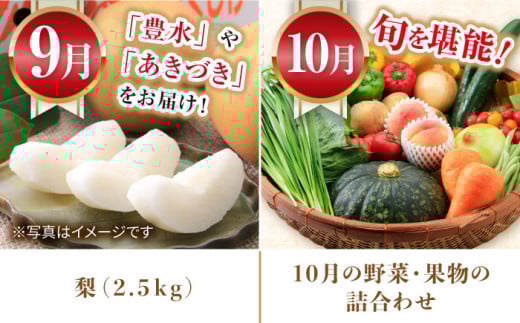 【5回定期便】旬の農産物 梨コース / 野菜 やさい 果物 くだもの フルーツ ふるーつ 産地直送 なし 梨 ナシ 農産物 フルーツ定期便 / 大村市 / おおむら夢ファームシュシュ[ACAA121]