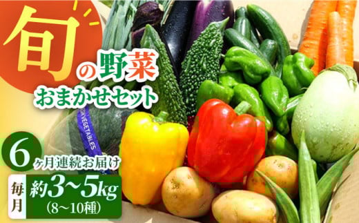 【全6回定期便】大村産とれたてお野菜おまかせセット(8〜10種) / 季節 旬 春野菜 夏野菜 秋野菜 / 大村市 / かとりストアー[ACAN059]