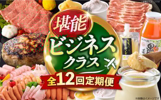 【12回定期便】ビジネスクラス定期便（ ジュース ハンバーグ ハムセット ジェラート プリン ジュレ 長崎和牛 豚肉 ）/ 便利な定期便 バラエティ定期便 バラエティ/ 大村市 おおむら夢ファームシュシュ[ACAA098]