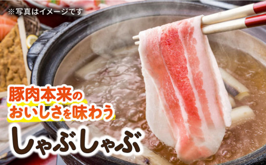 【2回定期便】ナルちゃんファーム豚肉セット しゃぶしゃぶ×スライス 毎月1kg / 豚肉 しゃぶしゃぶ スライス / 大村市 / おおむら夢ファームシュシュ [ACAA342]