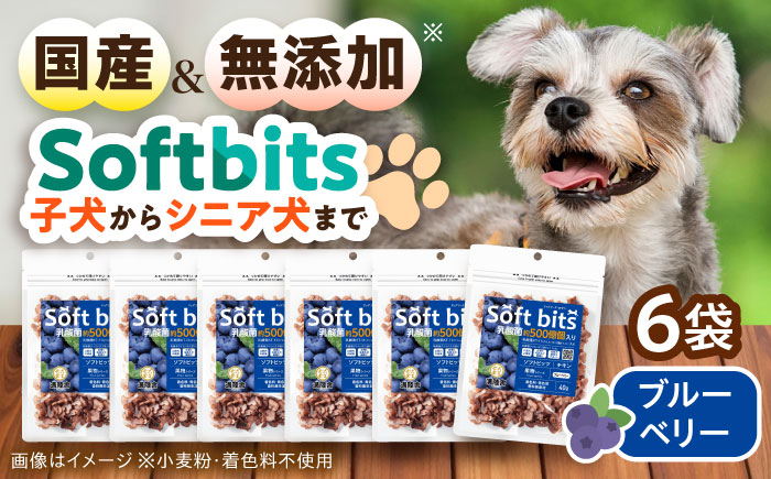 Softbits ドッグフード ブルーベリー（40g×6P）/ ドッグフード 犬 いぬ ドッグ おやつ ペットフード / 大村市 / 株式会社サポート [ACAM009]