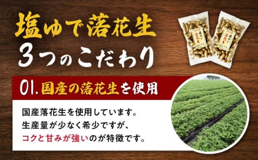 【冷凍保存3か月可】塩ゆで落花生 合計3kg (500g×6袋) ゆでピー 落花生 国産 / ゆでぴー 落花生 ピーナッツ ナッツ おつまみ おやつ / 大村市 / 浦川豆店[ACZR003]