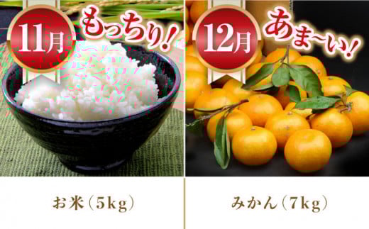 【5回定期便】旬の農産物 梨コース / 野菜 やさい 果物 くだもの フルーツ ふるーつ 産地直送 なし 梨 ナシ 農産物 フルーツ定期便 / 大村市 / おおむら夢ファームシュシュ[ACAA121]