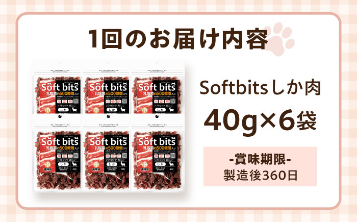 【全3回定期便】Softbits ドッグフード 鹿（40g×6P）/ ドッグフード 犬 いぬ ドッグ おやつ ペットフード / 大村市 / サポート [ACAM034]