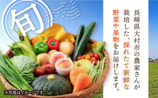 【5回定期便】旬の農産物 梨コース / 野菜 やさい 果物 くだもの フルーツ ふるーつ 産地直送 なし 梨 ナシ 農産物 フルーツ定期便 / 大村市 / おおむら夢ファームシュシュ[ACAA121]