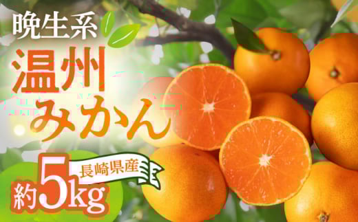【12月中旬～1月配送】長崎県産 温州みかん (晩生系) 5kg 柑橘 果物 フルーツ 大村市 かとりストアー[ACAN056]