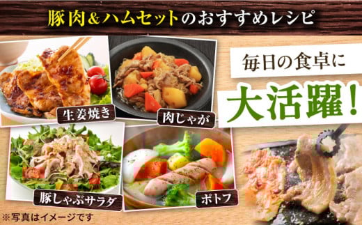 【10回定期便】ナルちゃんファーム 豚肉食べ比べコース 総量11.2kg（豚肉しゃぶしゃぶ・スライス・焼肉・とんかつ・ハムセット）/ 豚肉 ロースハム ハム はむ ウインナー ういんなー ソーセージ そーせーじ フランク 豚ロース ロース ろーす 豚モモ モモ もも 豚バラ バラ ばら 焼肉 しゃぶしゃぶ スライス 小分け 豚肉定期便 / 大村市 / おおむら夢ファームシュシ[ACAA088]