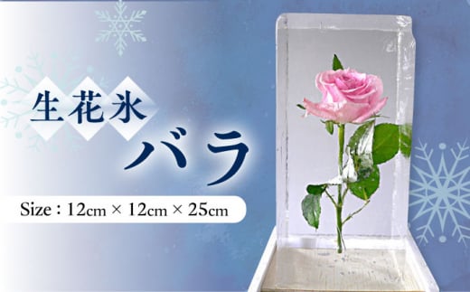 生花氷 バラ (12cm×12cm×25cm) 約4kg 氷 花 インテリア プレゼント ギフト 大村市 大村製氷[ACZN002]