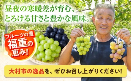 【2026年8月中旬より順次発送予定】シャインマスカット・ぶどうセット 約1.5kg / 先行予約 シャインマスカット しゃいんますかっと マスカット ますかっと ブドウ ぶどう 葡萄 フルーツ ふるーつ 果物 くだもの 期間限定 数量限定 / 大村市 / おおむら夢ファームシュシュ[ACAA007]