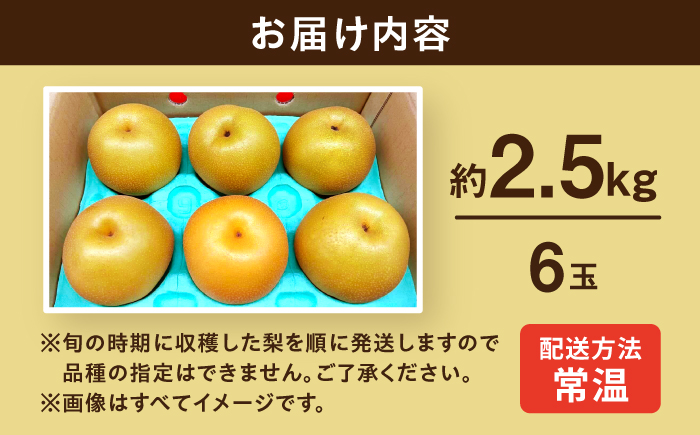 長崎県産 朝採り旬の梨 約2.5kg 6玉 大村市 産直松吉/梨 なし 幸水 豊水 秋麗 あきづき 新高 20世紀 二十世紀 かんた [ACZC011]