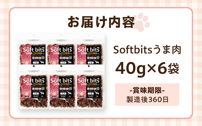 Softbits ドッグフード 馬（40g×6P）/ ドッグフード 犬 いぬ ドッグ おやつ ペットフード / 大村市 / サポート [ACAM008]