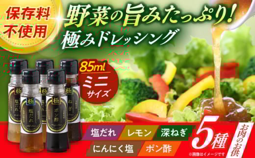 長崎の「極み」ドレッシングミニ 85ml×5本セット お肉のお供にセット / ドレッシング 調味料 サラダ / 大村市 / おおむら夢ファームシュシュ [ACAA403]