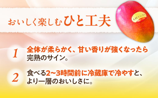 【2026年7月下旬から順次発送】 大村マンゴー 約800g (2L×2個) / 先行予約 マンゴー アップルマンゴー まんごー フルーツ トロピカルフルーツ 甘い 期間限定 国産 冷蔵配送  / 大村市 / 県央リサイクル開発[ACBC001]