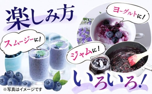【2026年7月上旬頃より順次発送予定】生ブルーベリー 1kg（250g×4袋）/ ベリー べりー ブルーベリー ぶるーべりー 生 小分け 果物 くだもの フルーツ ふるーつ / 大村市 / おおむら夢ファームシュシュ[ACAA005]