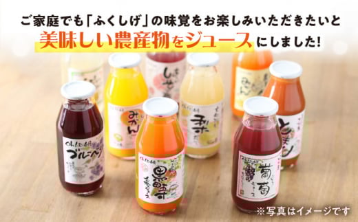シュシュのジュース180ml×10本セット　定番おシュシュめセット / フルーツ ふるーつ ジュース じゅーす フルーツジュース ドリンク 飲料水 / 大村市 / おおむら夢ファームシュシュ[ACAA011]