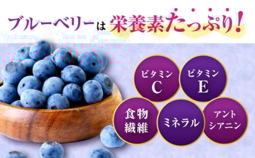 【2026年7月上旬頃より順次発送予定】冷凍ブルーベリー 1kg（250g×4袋）/ ベリー べりー ブルーベリー ぶるーべりー 冷凍 小分け 果物 くだもの フルーツ ふるーつ / 大村市 / おおむら夢ファームシュシュ[ACAA004]
