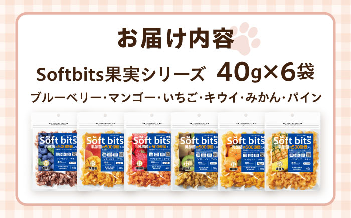 Softbits ドッグフード アソート果物 （40g×6P）/ ドッグフード 犬 いぬ ドッグ おやつ ペットフード / 大村市 / サポート [ACAM004]