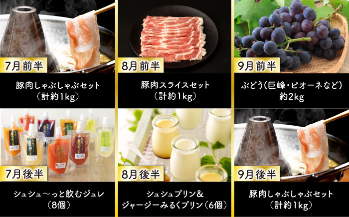 【24回定期便】毎月 2回 お届け！ファーストクラス 定期便（ ハンバーグ 長崎和牛 プリン いちご ジェラート ハムセット 豚肉 ジュレ ぶどう お米 ジュース ）/ 便利な定期便 バラエティ定期便 バラエティ 定期便 / 大村市 / おおむら夢ファームシュシュ[ACAA102]