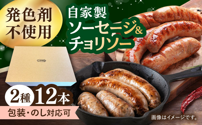 ソーセージ 2種セット 計12本 （プレーン・燻製チョリソー） フランクフルト 大村市 Torres手作りハムベーコン工房 [ACYW006]