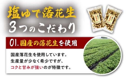 【冷凍保存3か月可】塩ゆで落花生 合計1kg（250g×4袋） / ゆでぴー 落花生 ピーナッツ ナッツ おつまみ おやつ / 大村市 / 浦川豆店[ACZR002]