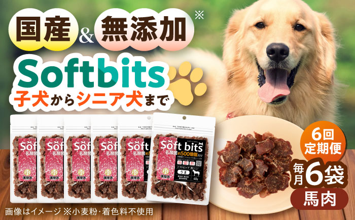 【全6回定期便】Softbits ドッグフード 馬（40g×6P）/ ドッグフード 犬 いぬ ドッグ おやつ ペットフード / 大村市 / サポート [ACAM038]