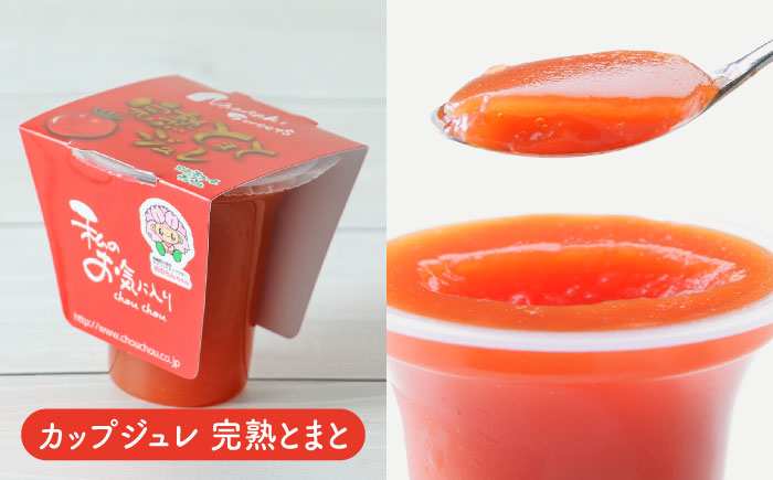 シュシュオリジナル トマト盛り沢山6種セット / とまと ジュース ドレッシング ケチャップ ソース / 大村市 / おおむら夢ファーム [ACAA484]