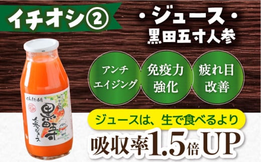 【12回定期便】ビジネスクラス定期便（ ジュース ハンバーグ ハムセット ジェラート プリン ジュレ 長崎和牛 豚肉 ）/ 便利な定期便 バラエティ定期便 バラエティ/ 大村市 おおむら夢ファームシュシュ[ACAA098]