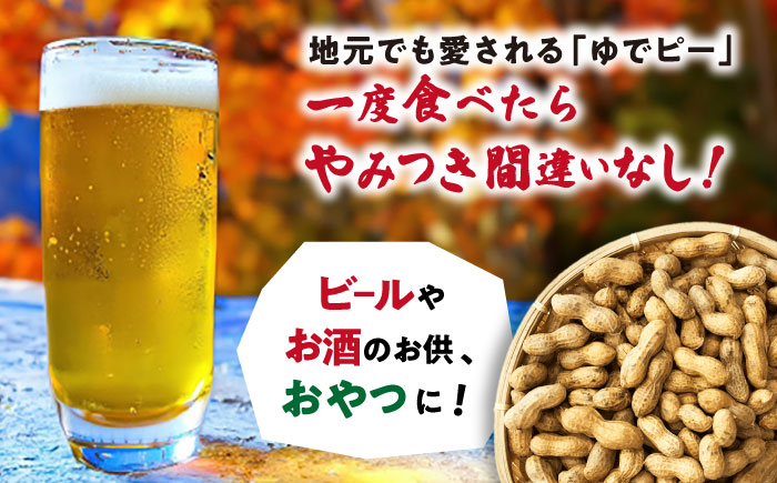 【全6回定期便】塩ゆで落花生 合計約750g（250g×3袋） ゆでピー 落花生 国産　大村市 浦川豆店 [ACZR014]