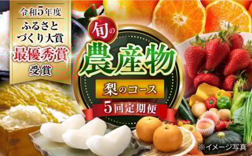 【5回定期便】旬の農産物 梨コース / 野菜 やさい 果物 くだもの フルーツ ふるーつ 産地直送 なし 梨 ナシ 農産物 フルーツ定期便 / 大村市 / おおむら夢ファームシュシュ[ACAA121]