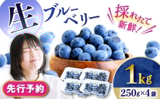 【2026年7月上旬頃より順次発送予定】生ブルーベリー 1kg（250g×4袋）/ ベリー べりー ブルーベリー ぶるーべりー 生 小分け 果物 くだもの フルーツ ふるーつ / 大村市 / おおむら夢ファームシュシュ[ACAA005]