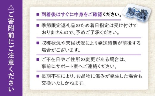 【2026年7月上旬頃より順次発送予定】生ブルーベリー 1kg（250g×4袋）/ ベリー べりー ブルーベリー ぶるーべりー 生 小分け 果物 くだもの フルーツ ふるーつ / 大村市 / おおむら夢ファームシュシュ[ACAA005]