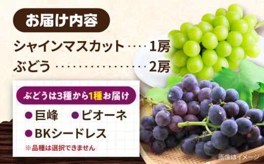 【2026年8月中旬より順次発送予定】シャインマスカット・ぶどうセット 約1.5kg / 先行予約 シャインマスカット しゃいんますかっと マスカット ますかっと ブドウ ぶどう 葡萄 フルーツ ふるーつ 果物 くだもの 期間限定 数量限定 / 大村市 / おおむら夢ファームシュシュ[ACAA007]