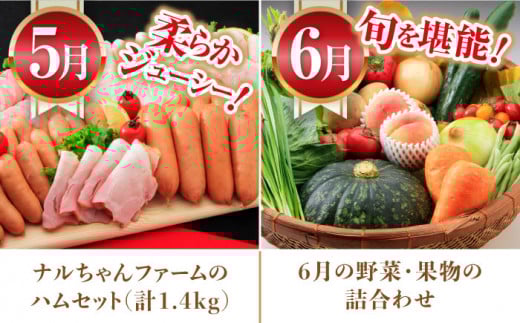 【12回定期便】豚肉＆旬の農産物 ブルーベリーコース（ 豚肉 いちご ハムセット 野菜 果物 ブルーベリー みかん お米 ）/ 便利な定期便 バラエティ定期便 バラエティ / 大村市 / おおむら夢ファームシュシュ[ACAA124]