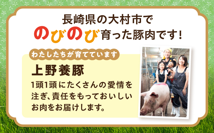 「山のウエノ豚」 豚バラ スライス 1kg（500g×2）/ 豚肉 バラ / 大村市/合同会社肉のマルシン [ACCF004]