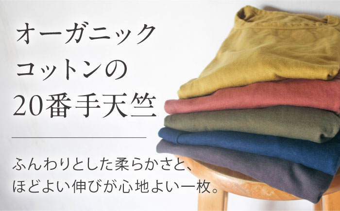 オーガニックコットン 完熟Tシャツ　【小豆色】Lサイズ / オーガニック コットン 綿100　手染め 草木染め Ｔシャツ 半袖 トップス ファッション インナー 女性用 レディース 男性用 メンズ ユニセックス 男女兼用 ギフト 贈答 プレゼント / 大村市 / ISTIST [ACZW057-3]