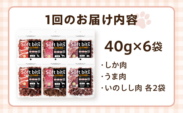【全3回定期便】Softbits ドッグフード 肉アソート（40g×6P） / ドッグフード 犬 いぬ ドッグ おやつ ペットフード / 大村市 / サポート [ACAM031]