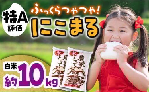長崎県産 にこまる 約10kg(5kg×2袋) / 米 おこめ お米 白米 / 大村市 / かとりストアー[ACAN011]