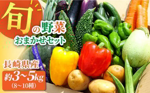 大村産とれたてお野菜おまかせセット(8〜10種)  / 季節 旬 春野菜 夏野菜 秋野菜 / 大村市 / かとりストアー[ACAN015]