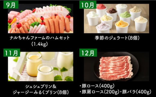 【12回定期便】ビジネスクラス定期便（ ジュース ハンバーグ ハムセット ジェラート プリン ジュレ 長崎和牛 豚肉 ）/ 便利な定期便 バラエティ定期便 バラエティ/ 大村市 おおむら夢ファームシュシュ[ACAA098]