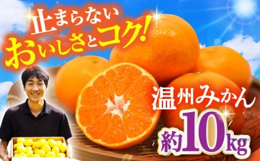 【11月中旬頃～1月中旬配送】長崎県産 温州みかん 約10kg / みかん 柑橘 10kg フルーツ 果物 / 大村市 / 山光農園[ACAI003]