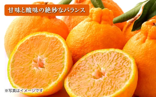 【2026年4月より順次発送予定】不知火 5kg　/ しらぬい みかん 果実 柑橘 / 大村市 / おおむら夢ファームシュシュ [ACAA299]